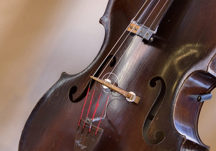 Close up of middle section of a dark wood cello