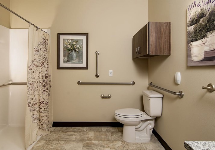 Bathroom with light elegant colors and accents and hand rails for getting up and sitting down around toilet